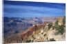 Grand Canyon from Lipan Point by Anonymous