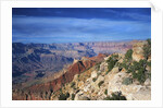 Grand Canyon from Lipan Point by Anonymous