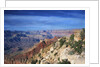 Grand Canyon from Lipan Point by Anonymous