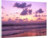 Beach at Twilight by Anonymous