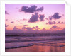 Beach at Twilight by Anonymous