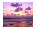 Beach at Twilight by Anonymous