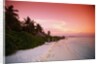 Tropical Beach at Sunset by Anonymous