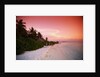 Tropical Beach at Sunset by Anonymous