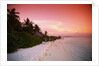 Tropical Beach at Sunset by Anonymous