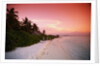 Tropical Beach at Sunset by Anonymous