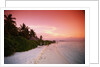 Tropical Beach at Sunset by Anonymous