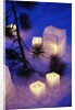 Candles Sitting on Snow by Tree by Anonymous