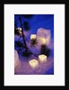 Candles Sitting on Snow by Tree by Anonymous