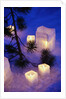 Candles Sitting on Snow by Tree by Anonymous