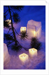 Candles Sitting on Snow by Tree by Anonymous