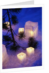 Candles Sitting on Snow by Tree by Anonymous
