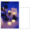 Candles Sitting on Snow by Tree by Anonymous