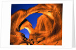 Double Arch by Anonymous