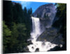 Vernal Falls by Anonymous