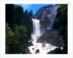 Vernal Falls by Anonymous
