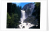 Vernal Falls by Anonymous