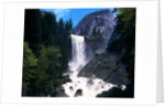 Vernal Falls by Anonymous