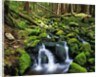 River Winding Between Mossy Rocks by Anonymous