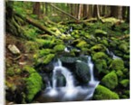 River Winding Between Mossy Rocks by Anonymous