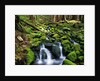 River Winding Between Mossy Rocks by Anonymous
