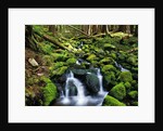 River Winding Between Mossy Rocks by Anonymous