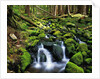 River Winding Between Mossy Rocks by Anonymous
