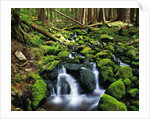 River Winding Between Mossy Rocks by Anonymous