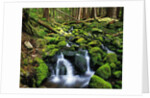 River Winding Between Mossy Rocks by Anonymous