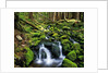 River Winding Between Mossy Rocks by Anonymous