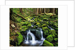 River Winding Between Mossy Rocks by Anonymous