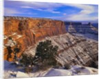Snowy Canyon from Dead Horse Point by Anonymous