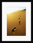Footprints Along Beach by Anonymous