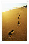 Footprints Along Beach by Anonymous