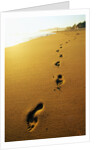 Footprints Along Beach by Anonymous
