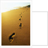 Footprints Along Beach by Anonymous