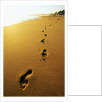 Footprints Along Beach by Anonymous