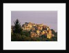 Village of Corniglia on the Italian Riviera by Anonymous