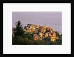 Village of Corniglia on the Italian Riviera by Anonymous