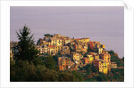Village of Corniglia on the Italian Riviera by Anonymous