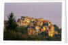 Village of Corniglia on the Italian Riviera by Anonymous