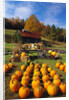 Pumpkins at Produce Stand by Anonymous