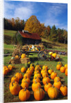 Pumpkins at Produce Stand by Anonymous