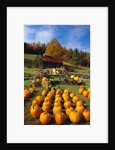 Pumpkins at Produce Stand by Anonymous