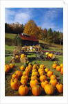 Pumpkins at Produce Stand by Anonymous