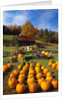 Pumpkins at Produce Stand by Anonymous