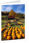 Pumpkins at Produce Stand by Anonymous