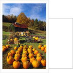 Pumpkins at Produce Stand by Anonymous