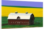 Rape Field and Barn by Anonymous