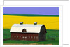 Rape Field and Barn by Anonymous